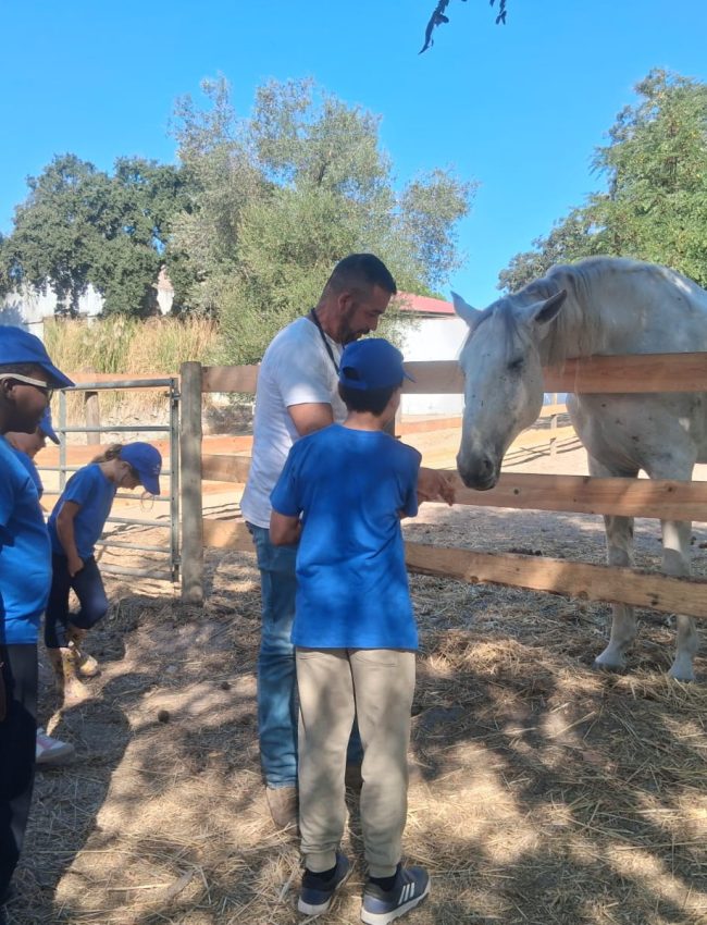 WhatsApp Image 2025-10-10 at 15.01.32 (3)