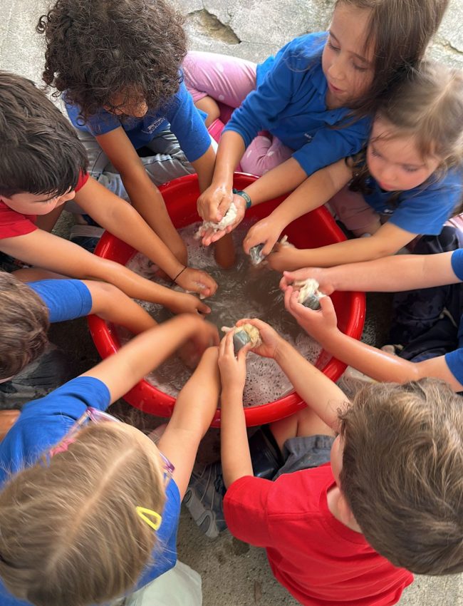 WhatsApp Image 2025-10-10 at 15.07.08 (1)